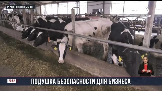Аграрная кредитная корпорация  профинансировала сотни проектов в Шымкенте и Туркестанской области
