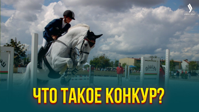 Конный спорт в Казахстане. Что такое конкур?