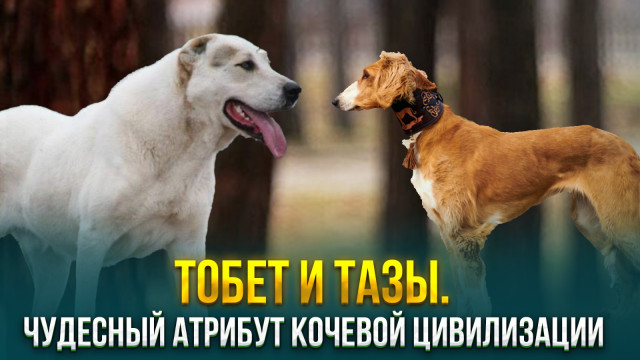 Тобет и Тазы. Чудесный атрибут кочевой цивилизации