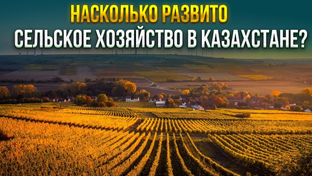 Насколько развито сельское хозяйство в Казахстане?