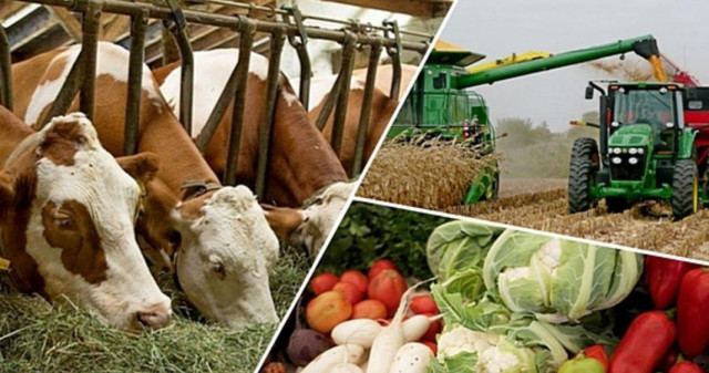 Қазақстан Үкіметі ауыл шаруашылығы өндірушілерін қолдау үшін шара қабылдады