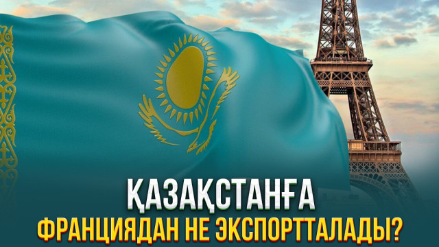 Қазақстанға Франциядан не импортталады?
