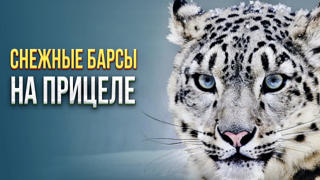 Главные новости 29.12.2023 г.