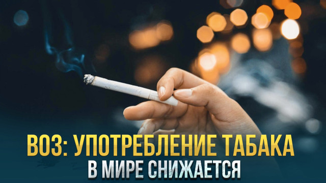 Главные новости 17.01.2024 г.