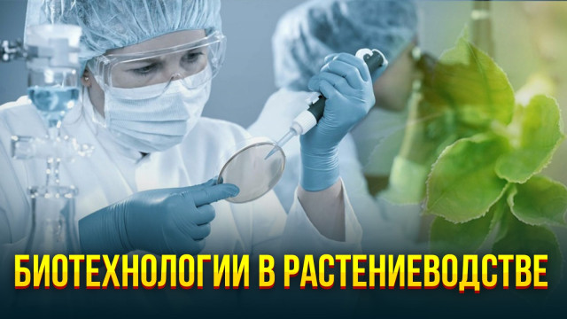 Биотехнологии в растениеводстве