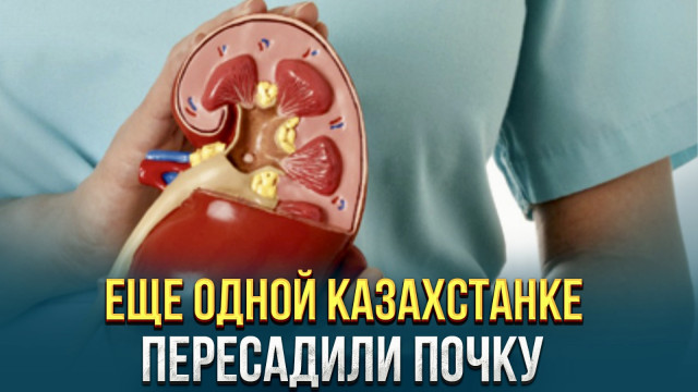 Главные новости 29.01.2024 г.