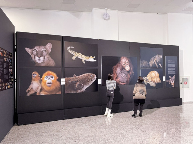 Астанада «National Geographic» журналының фотокөрмесі ашылды