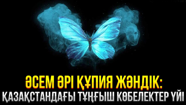 Әсем әрі құпия жәндік: Қазақстандағы тұңғыш көбелектер үйі