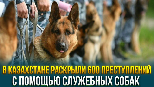 Главные новости 19.02.2024 г.
