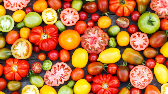 Казахстан готов увеличить экспорт сельхозпродукции в Китай