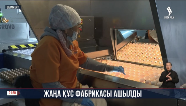 Жаңа құс фабрикасы ашылды