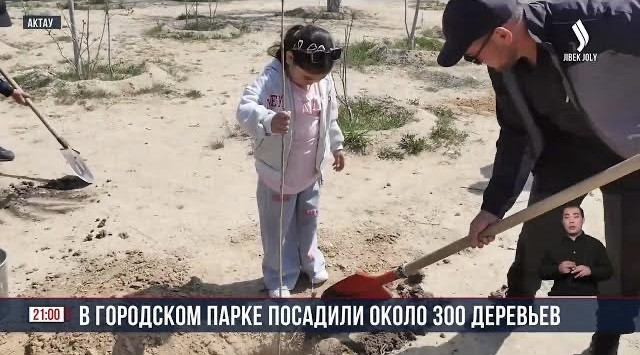 В городском парке посадили около 300 деревьев