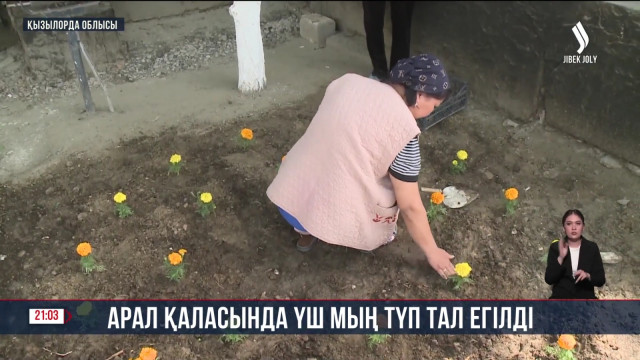 Арал қаласында үш мың түп тал егілді