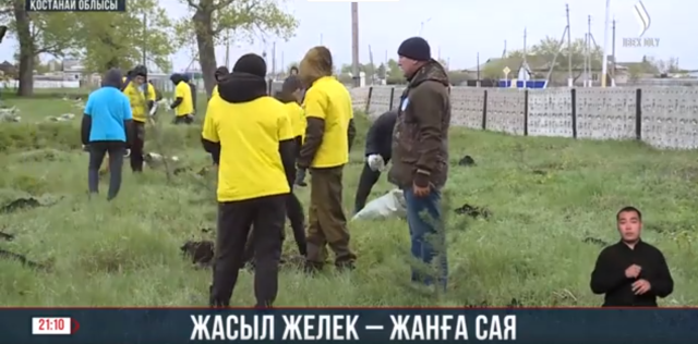 Жасыл желек - жанға сая