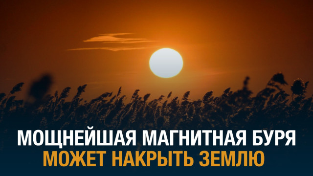 Главные новости 10.05.2024 г.