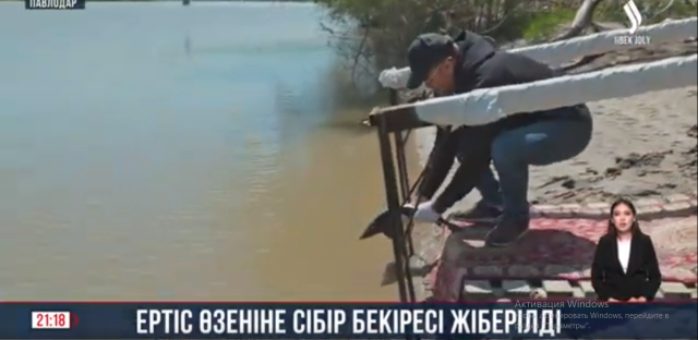 Ертіс өзеніне Сібір бекіресін жіберді