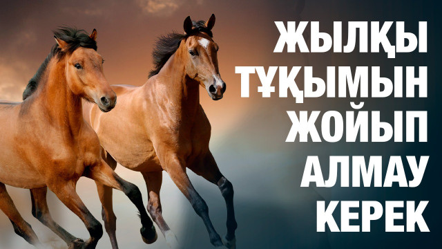 ЖАҢАЛЫҚТАР. 22.05.2024 күнгі шығарылым
