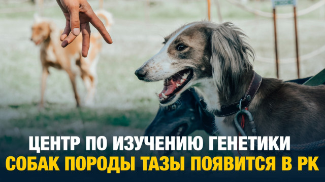 Главные новости 30.05.2024 г.