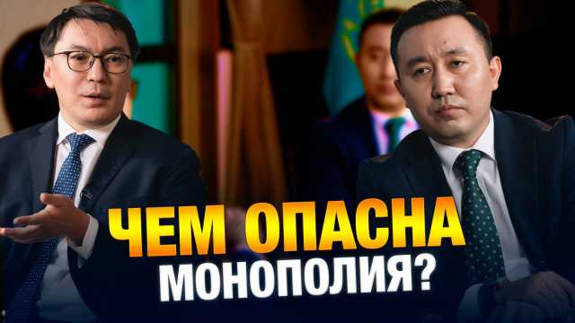 Чем опасна монополия?