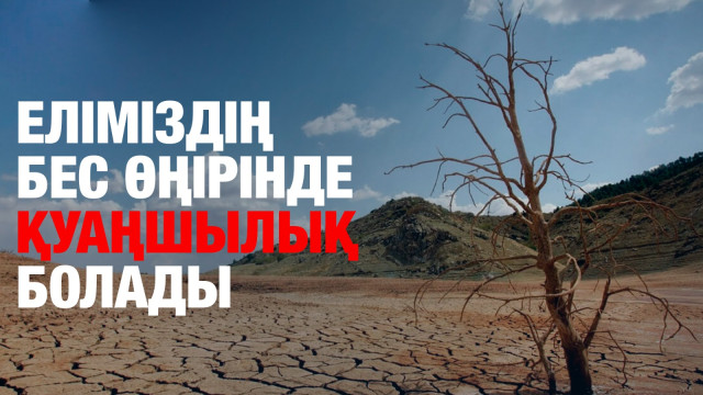 ЖАҢАЛЫҚТАР. 20.06.2024 күнгі шығарылым