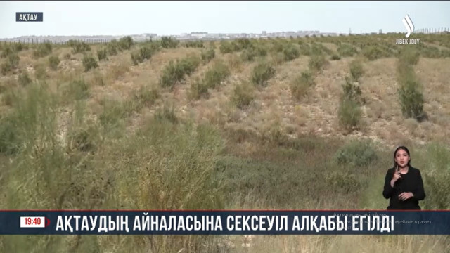 Ақтаудың айналасына сексеуіл алқабы егілді