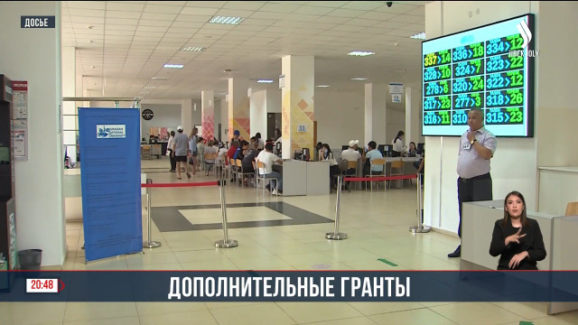 Дополнительные гранты