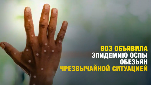 Главные новости 16.08.2024 г.