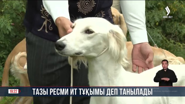 Қазақстанға тазының иесі деген мәртебе берілді