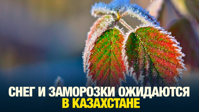 Главные новости 06.09.2024 г.