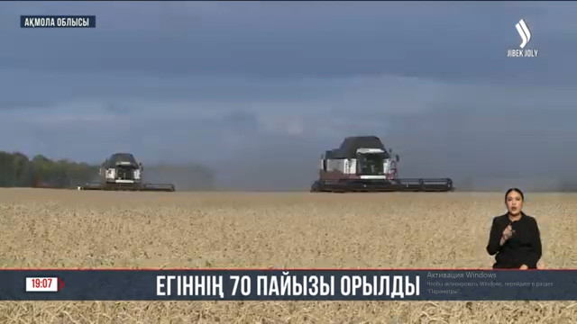 Ақмола облысы: Егіннің 70 пайызы орылды