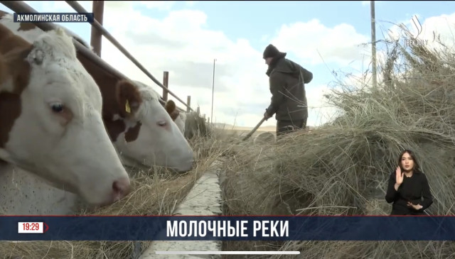 В селе Анар Акмолинской области строится молочная ферма