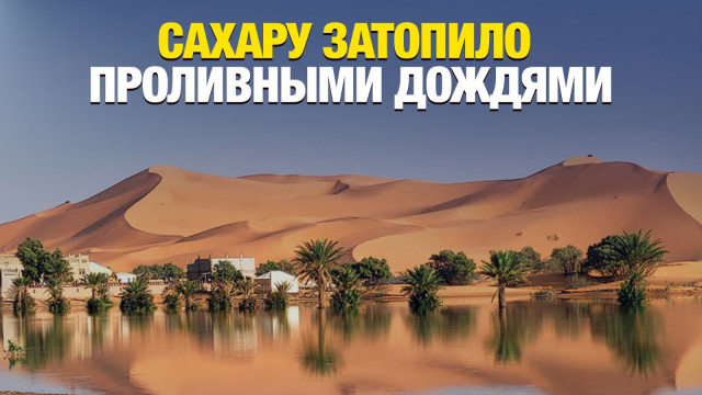 Самую сухую пустыню в мире Сахару затопило проливными дождями