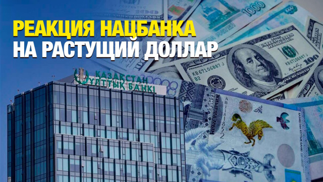 Ситуацию с растущим долларом прокомментировали в Нацбанке