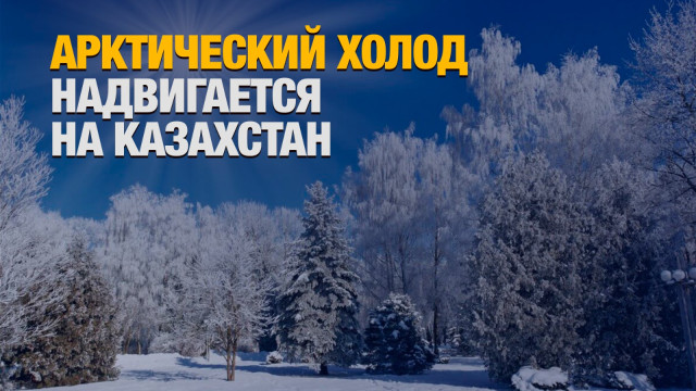 Главные новости 11.10.2024 г.