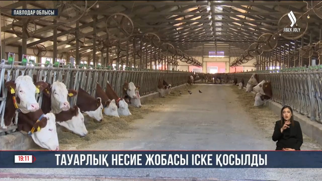 Павлодар облысында тауарлық несие жобасы іске қосылды