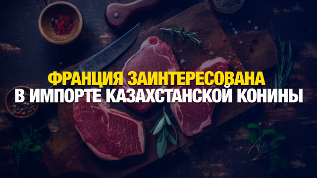 Главные новости 23.10.2024 г.