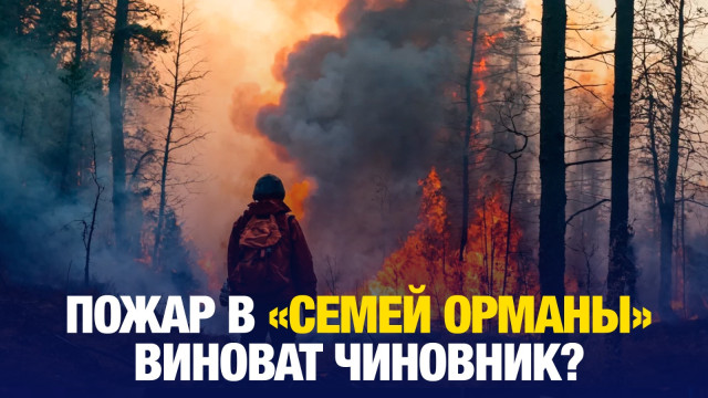 Чиновник выплатит 161 млрд тенге за пожар в «Семей орманы»