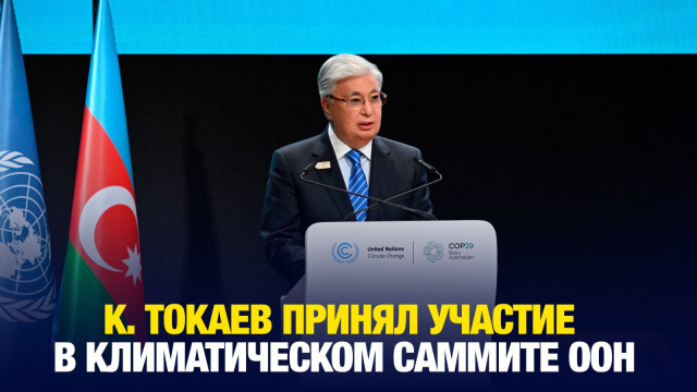 Главные новости 12.11.2024 г.