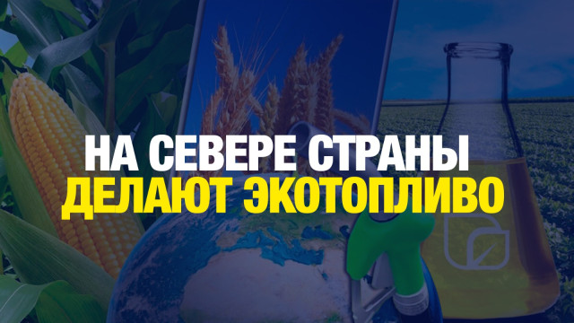 Топливо для самолётов из зерна