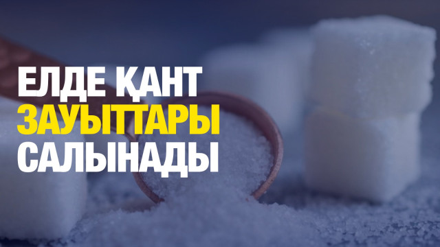 ЖАҢАЛЫҚТАР. 15.11.2024 күнгі шығарылым