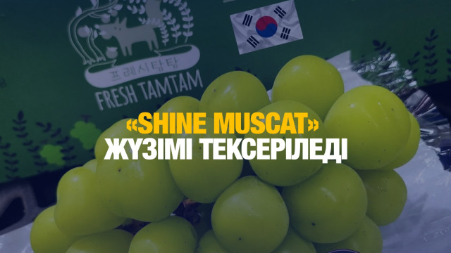 ЖАҢАЛЫҚТАР. 18.11.2024 күнгі шығарылым