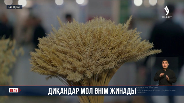 Павлодар облысында диқандар мол өнім жинады