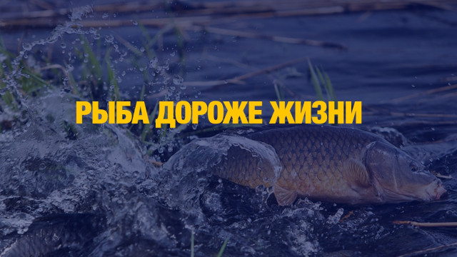 Рыбаков гоняют в Костанае