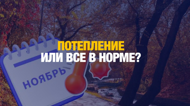 Тёплый ноябрь 2024 года