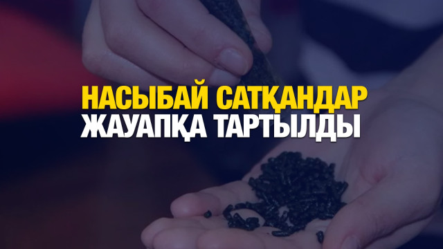 Насыбай сатқандарға айыппұл салынды