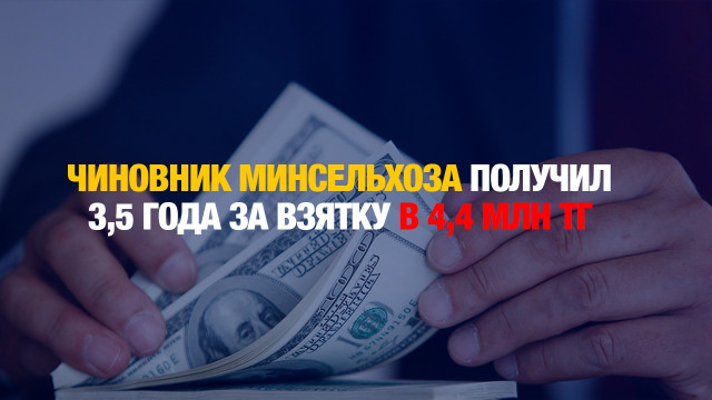 Главные новости 11.12.2024 г.