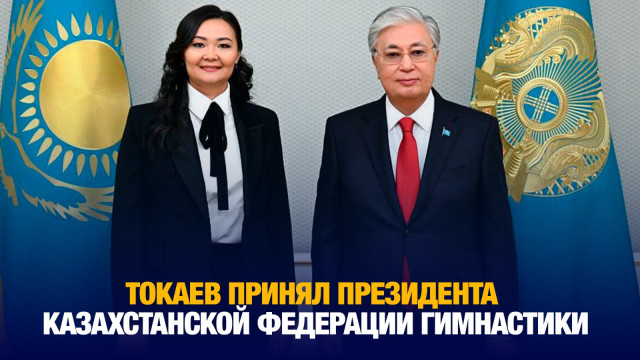 Глава государства принял президента Казахстанской федерации гимнастики