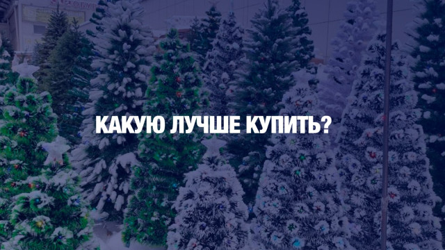 Ёлка: искусственная vs настоящая?