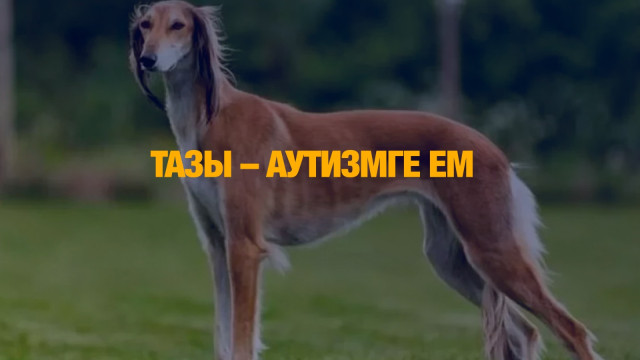 Тазы – аутизмге ем