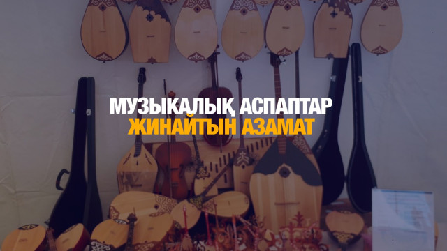 Музыкалық аспаптарды жинайтын азамат